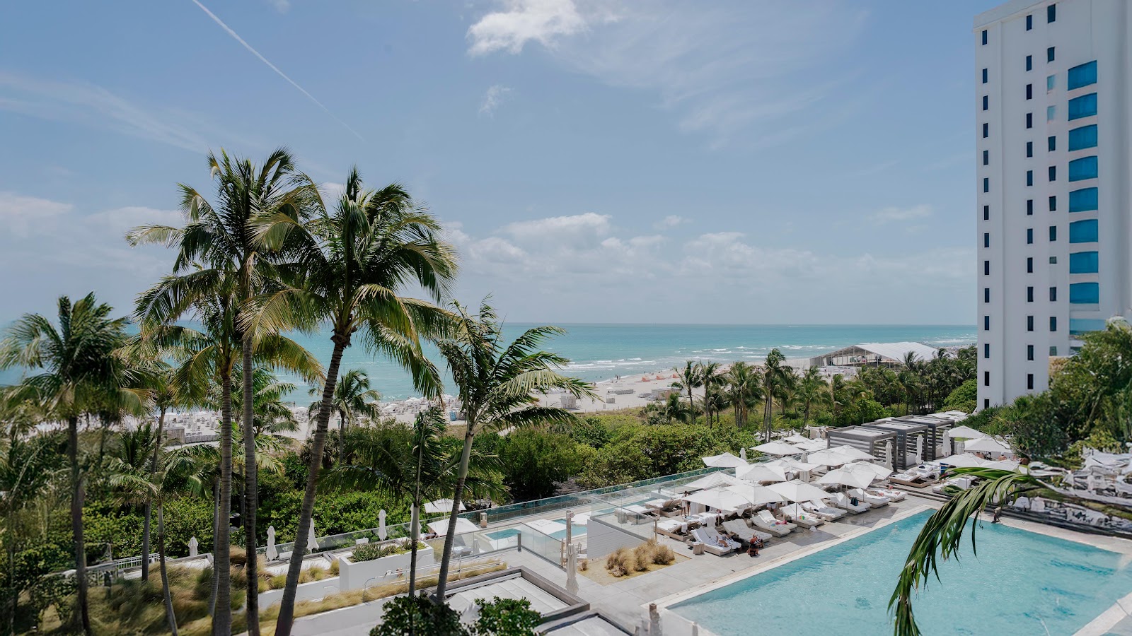 Palm-lined pool deck at an adults-oriented Miami Beach hotel