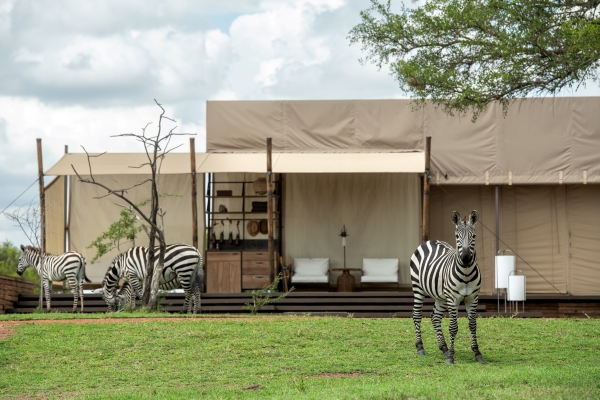 Tented safari suite looking over the Serengeti plains at Singita Sabora