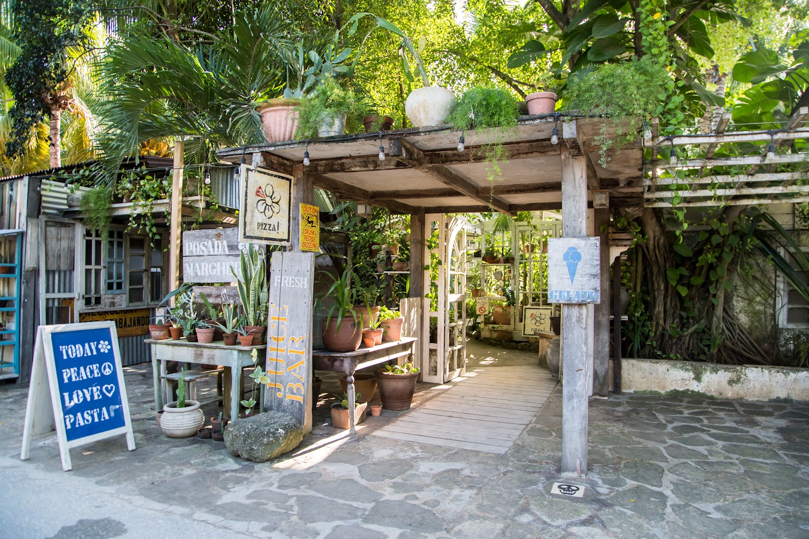 The plant-filled entrance, juice bar and hand-painted PIZZA and GELATO signs at Posada Margherita on the Tulum beach road